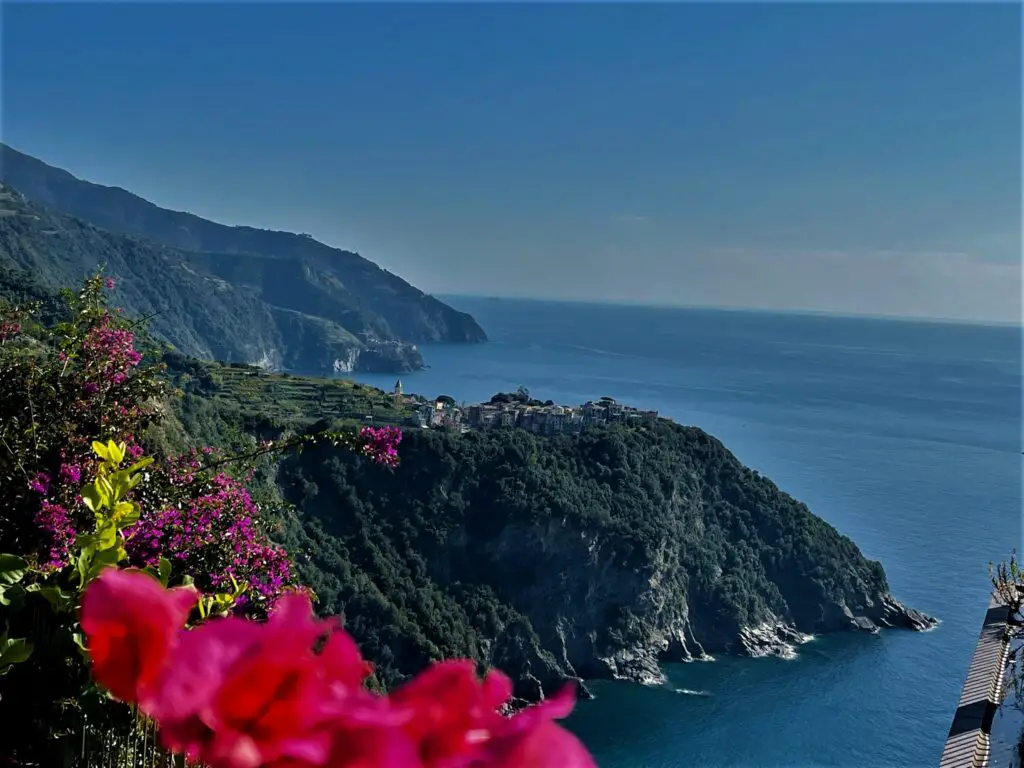 View of Italian Riviera coast and Corniglia on hike to Vernazza with pink and purple flowers near trail